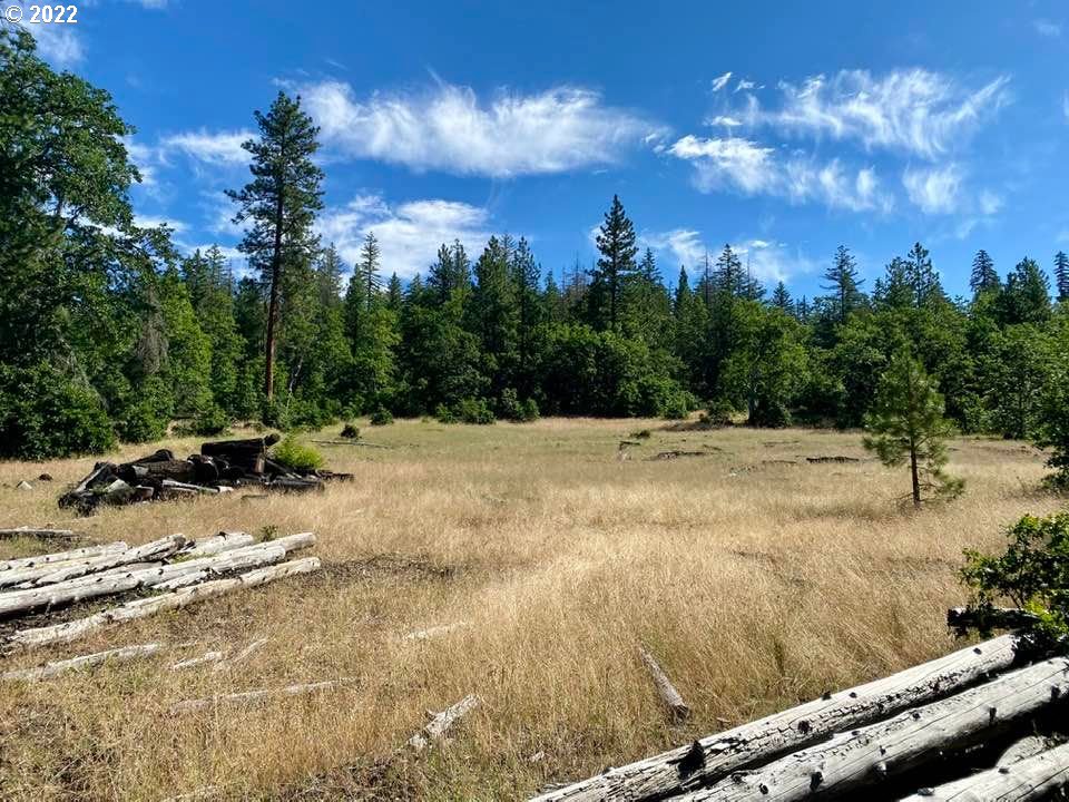Grayback Road, Unit LOT12 Goldendale, WA 98620 - Photo 4 of 12 a view of swimming pool with a yard