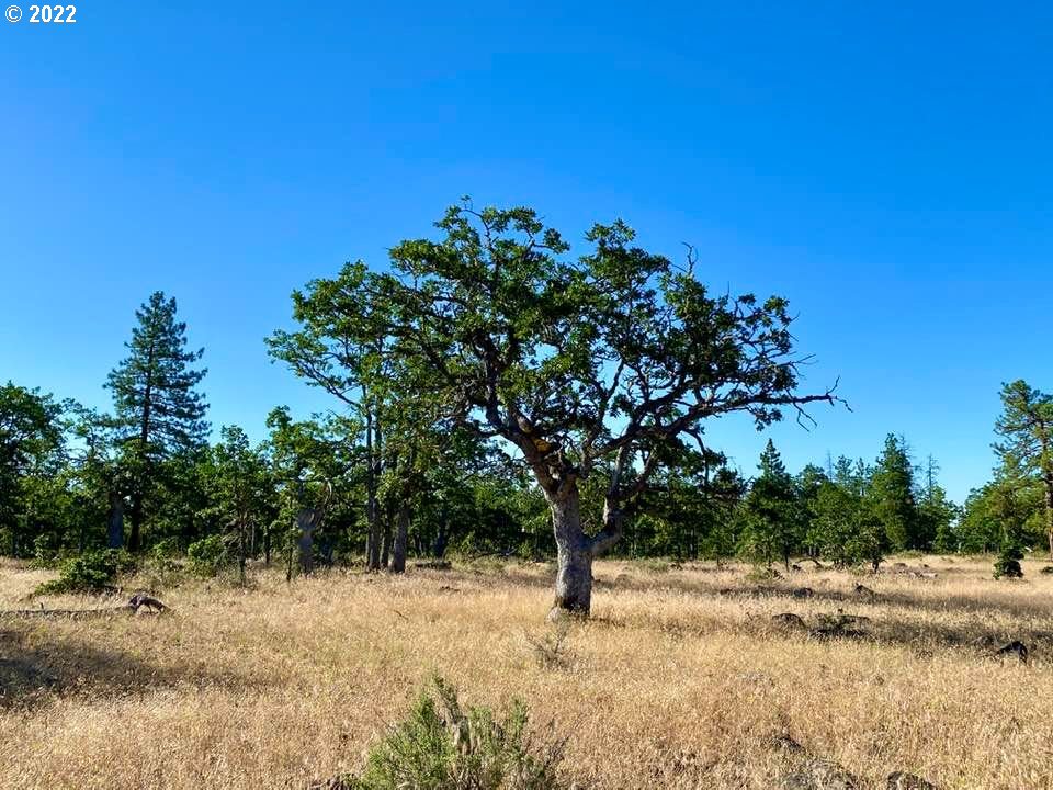 Grayback Road, Unit LOT12 Goldendale, WA 98620 - Photo 7 of 12 a view of ocean view with trees