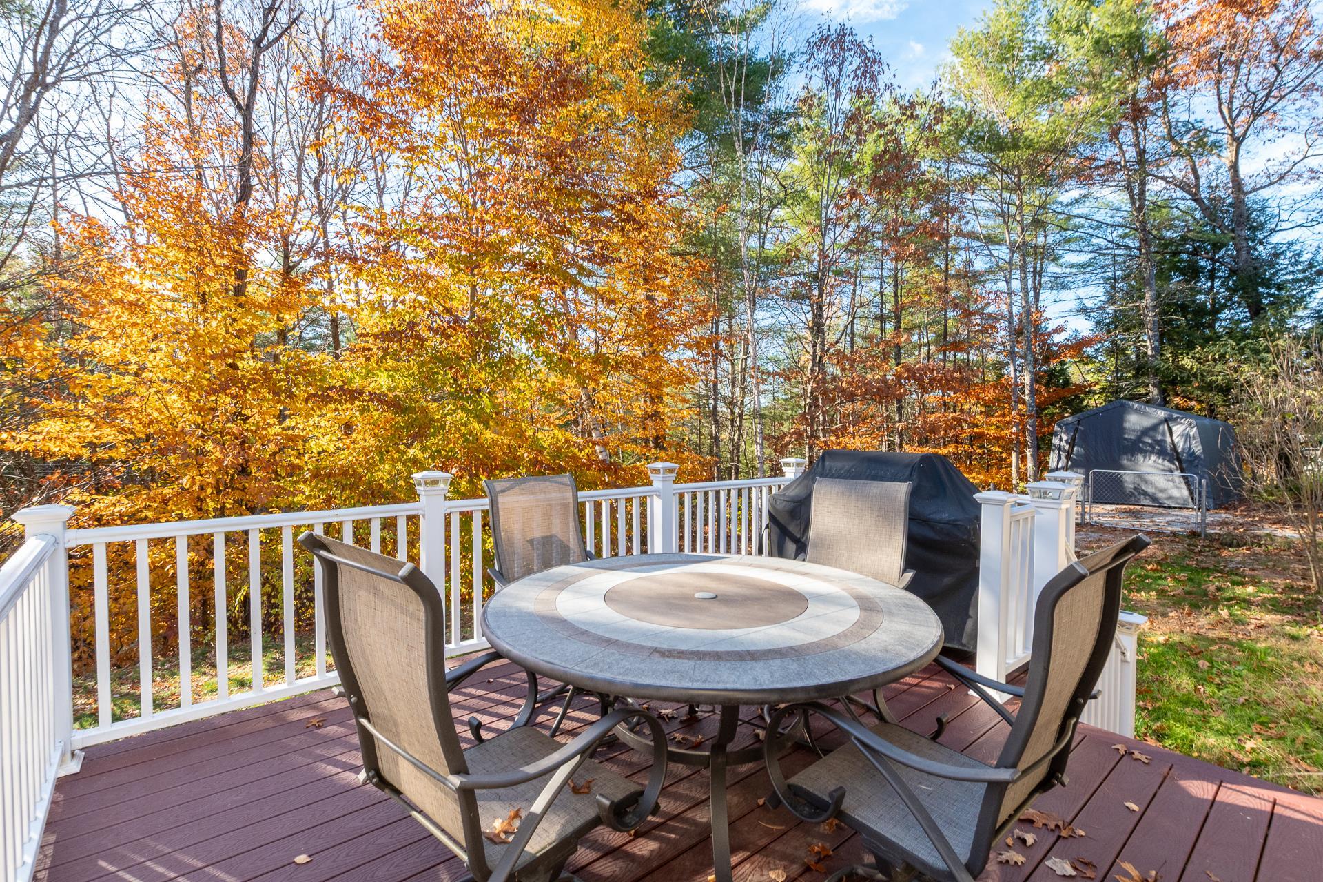 14 Solace Pointe Road Meredith, NH 03253 - Photo 40 of 45