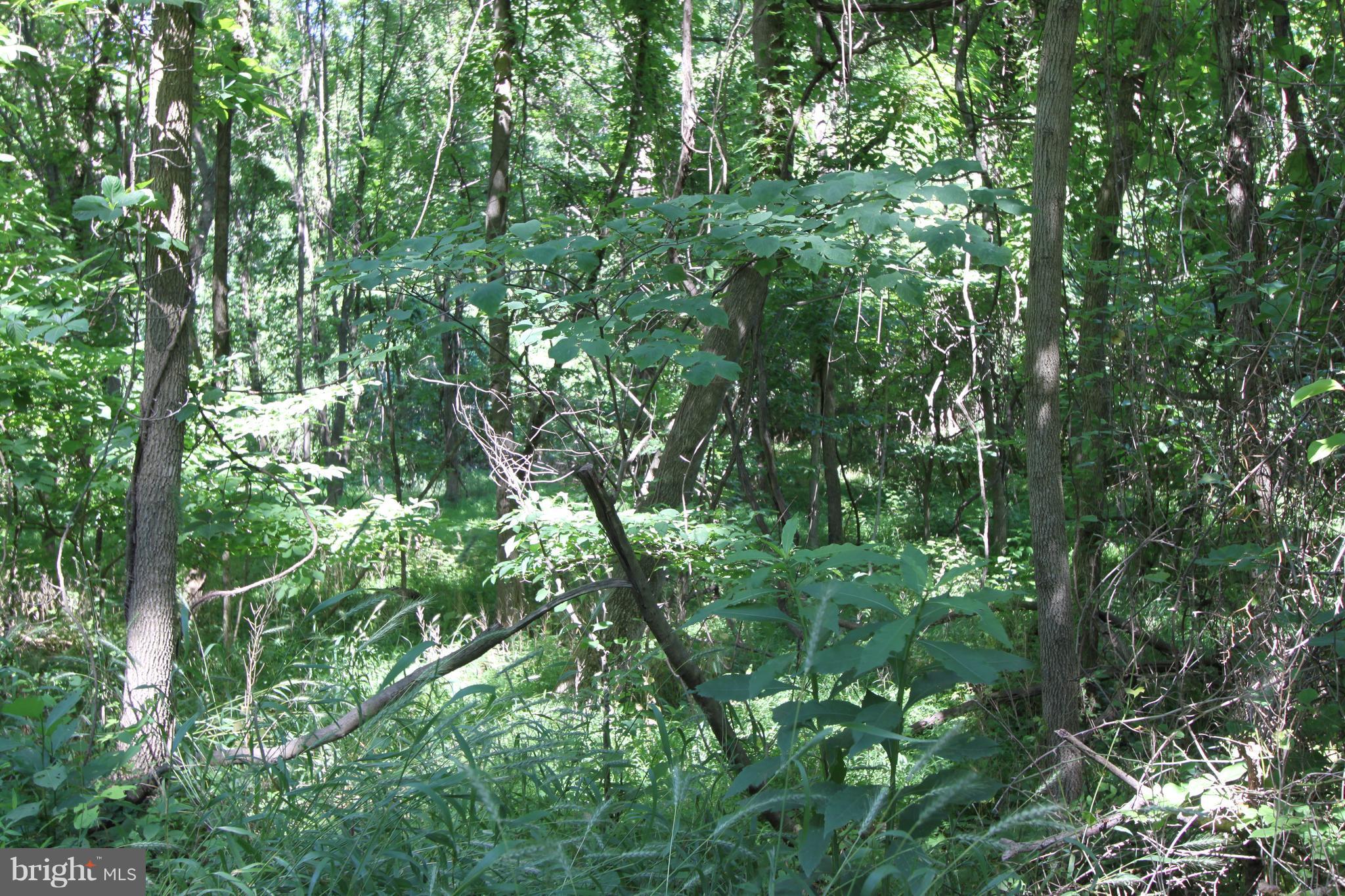 0 Canby Road Hamilton, VA 20158 - Photo 1 of 3 Raw Land