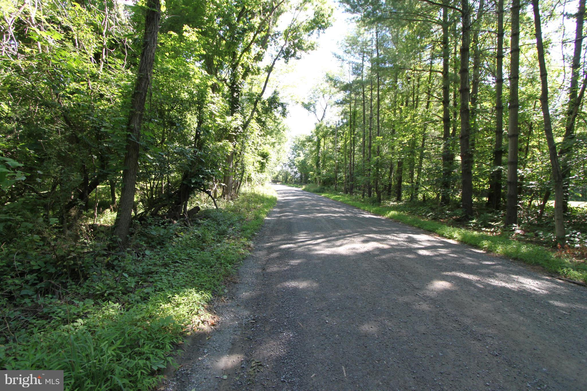 0 Canby Road Hamilton, VA 20158 - Photo 2 of 3 Canby Rd.
