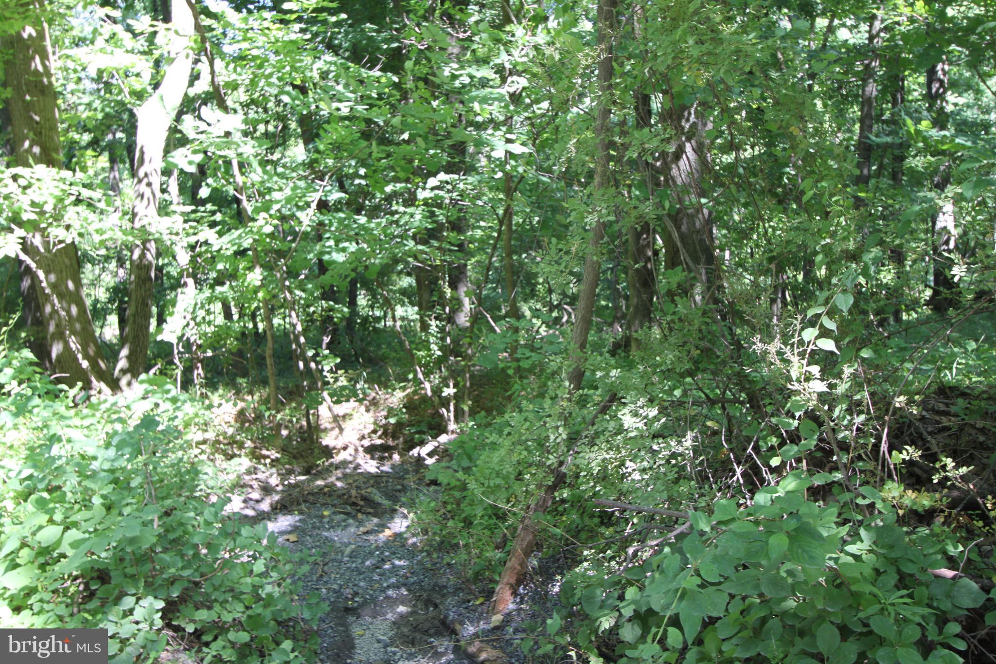 0 Canby Road Hamilton, VA 20158 - Photo 3 of 3 Raw Land