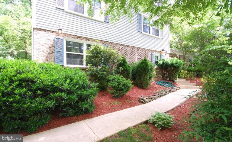 10728 Midsummer Drive Reston, VA 20191 - Photo 5 of 21 a view of a backyard with plants and large trees