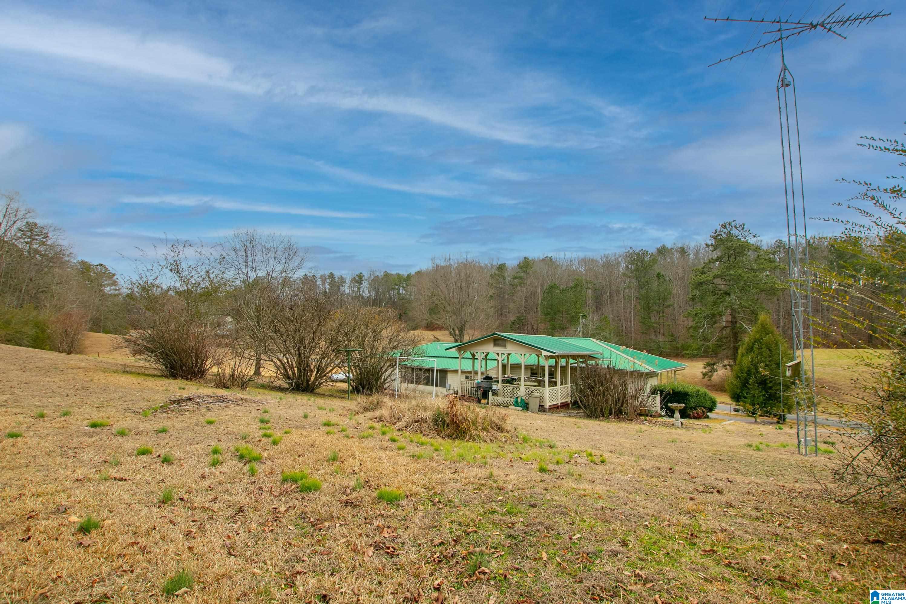 1042 Hoyt Hill Road Ashville, AL 35953 - Photo 37 of 45
