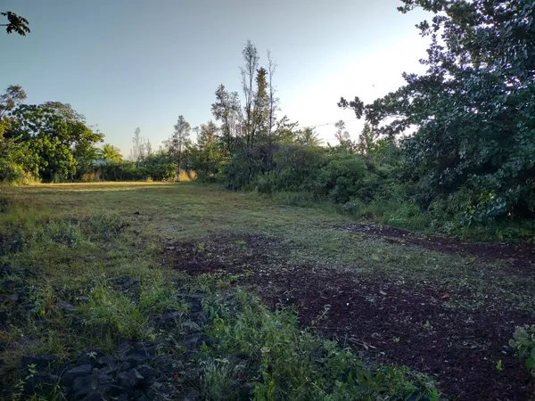 a view of a big yard with lots of green space