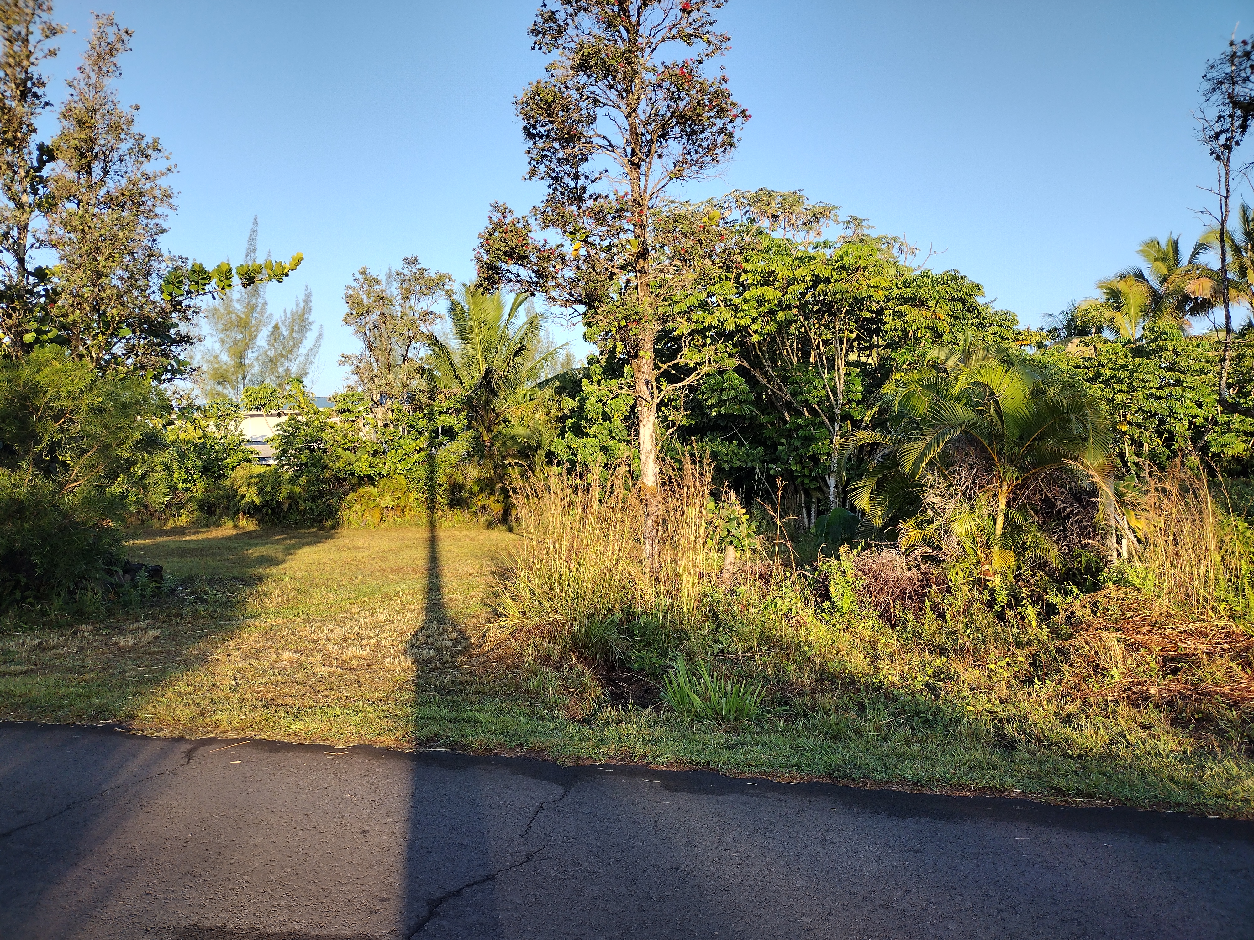 293 Pilikai Road, Unit 1 Keaau, HI 96749 - Photo 7 of 9 a view of lake