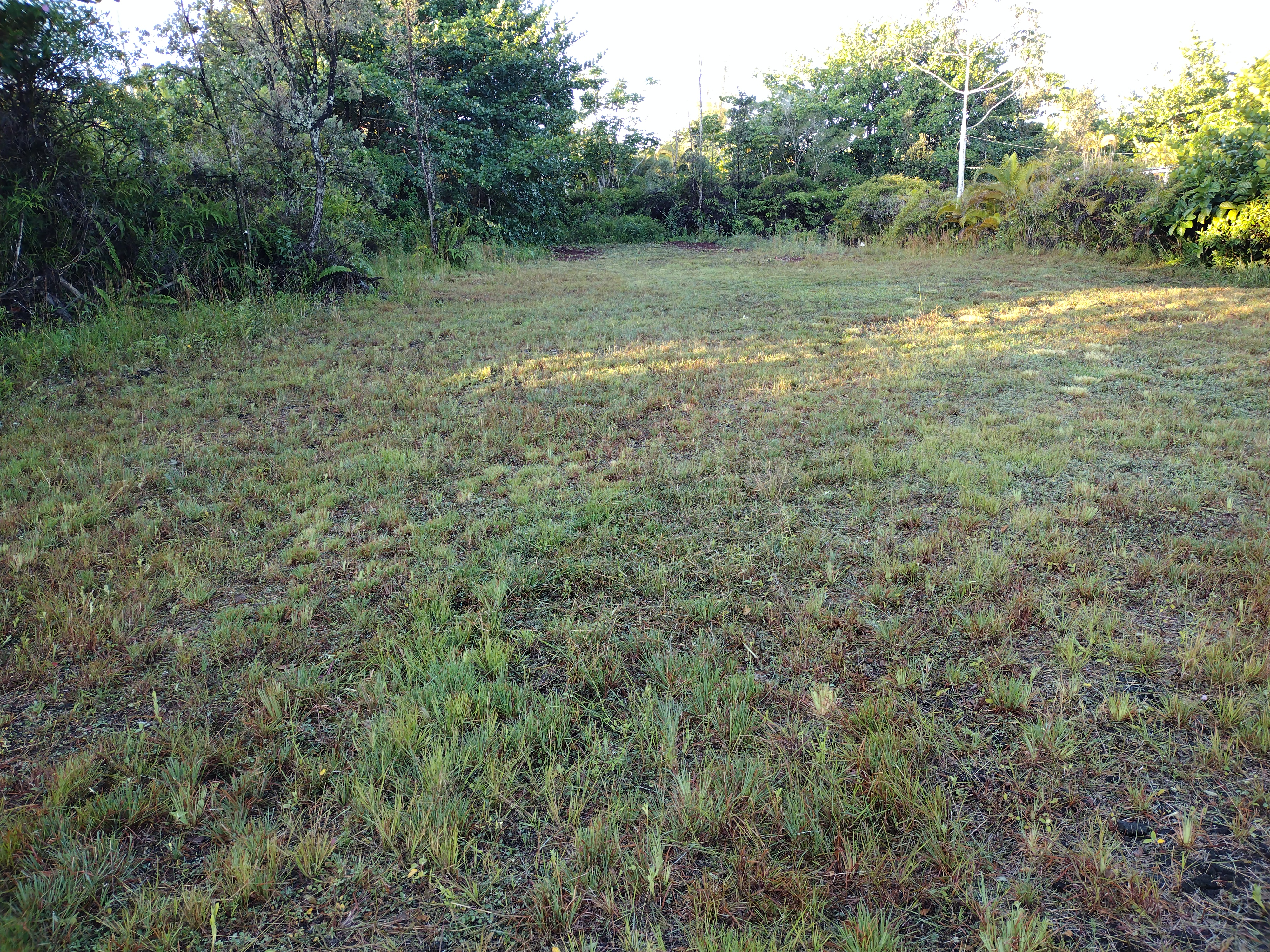 293 Pilikai Road, Unit 1 Keaau, HI 96749 - Photo 9 of 9 a view of a yard with a tree
