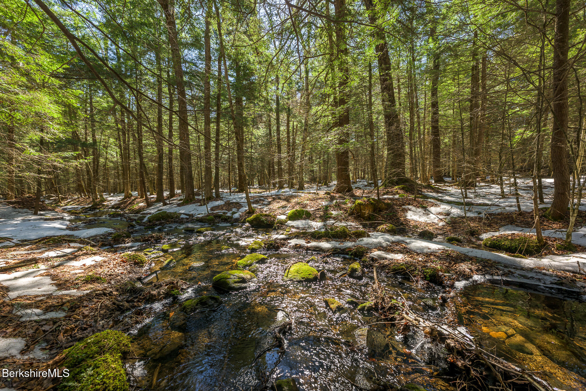 545 West Center Road Otis, MA 01253 - Photo 55 of 60 a view of a forest with trees