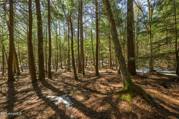$649,000 | 545 West Center Road, Otis, MA 01253