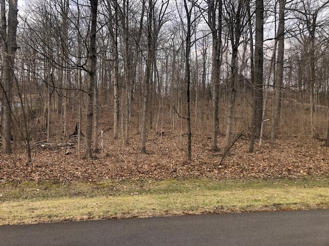 4890 Highlander Lane Springfield, OH 45503 - Photo 3 of 4