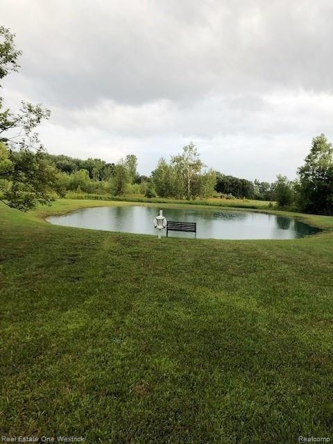 7379 Yager Road St. Clair, MI 48079 - Photo 38 of 63 IMG_0273.jpg