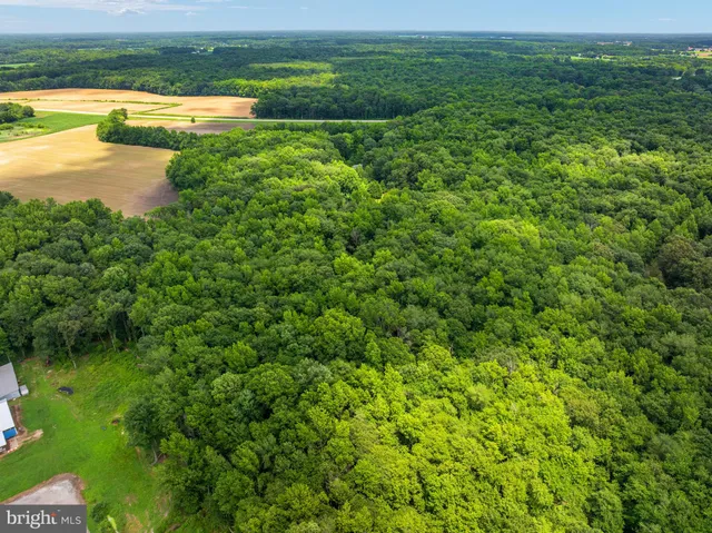 $775,000 | 26943 Fueller Drive, Marydel, MD 21649