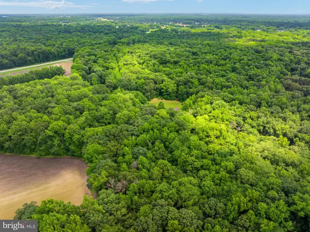 $775,000 | 26943 Fueller Drive, Marydel, MD 21649