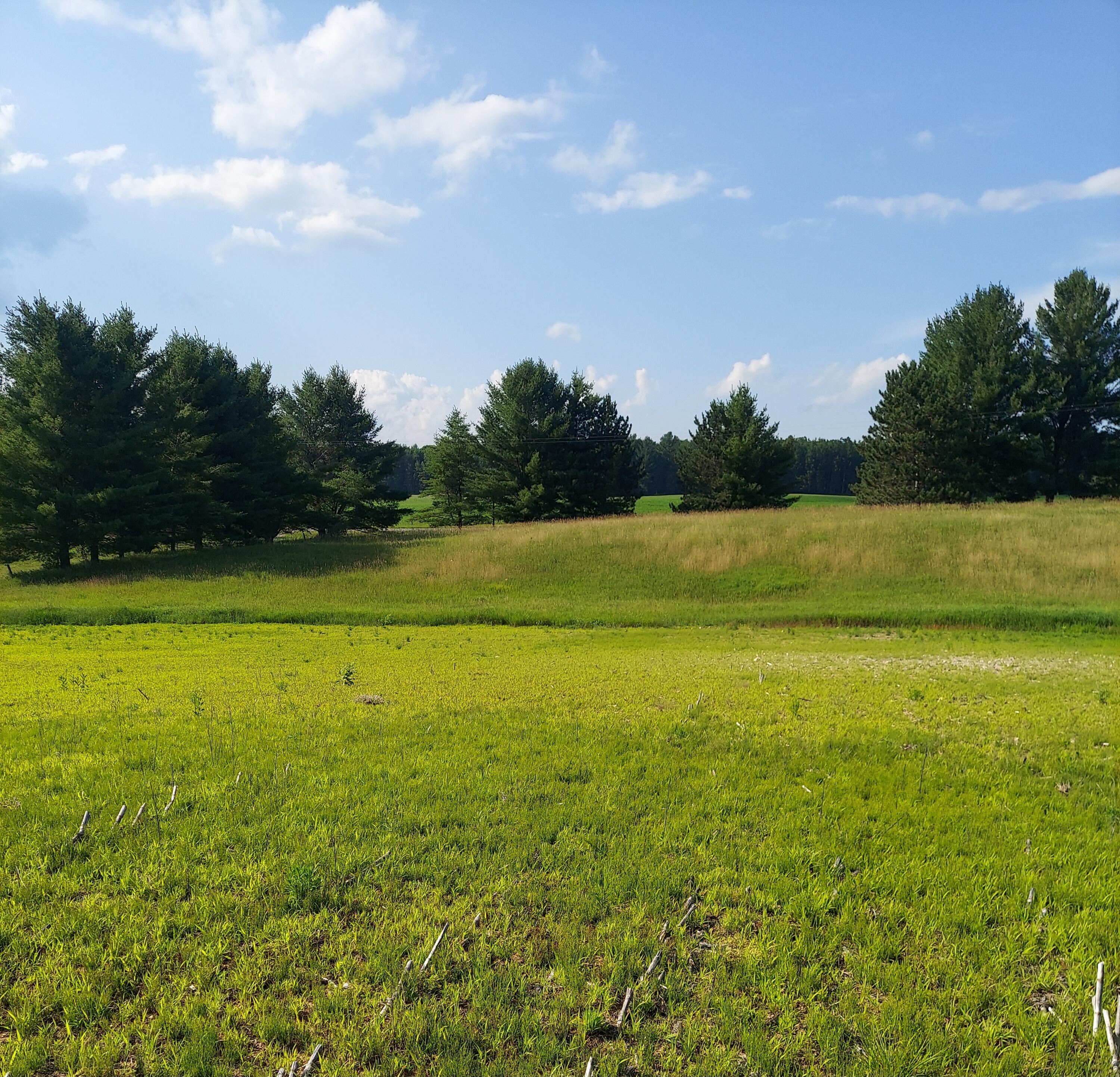 Nhn East Fowler Road Harrisville, MI 48740 - Photo 7 of 17 Gallery Image 7