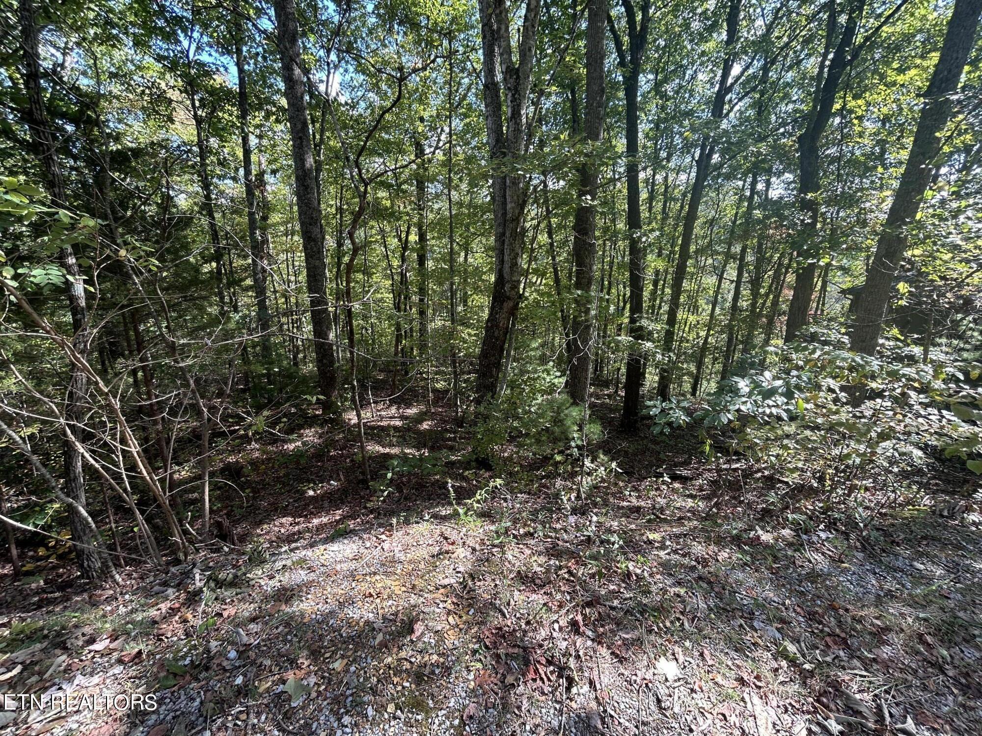 Lot 8 Hatcher Top Road Sevierville, TN 37862 - Photo 6 of 13 IMG_5349