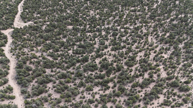 St, Unit 1 & 2 Modena, UT 84753 - Photo 36 of 69 Extensive natural terrain featuring varied low-lying foliage and unpaved pathways