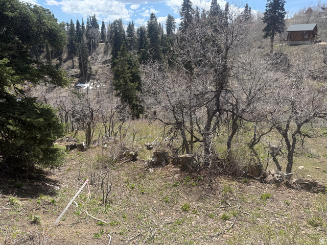 2211 Pine Loop Road, Unit 64 Coalville, UT 84017 - Photo 8 of 20 View of nature