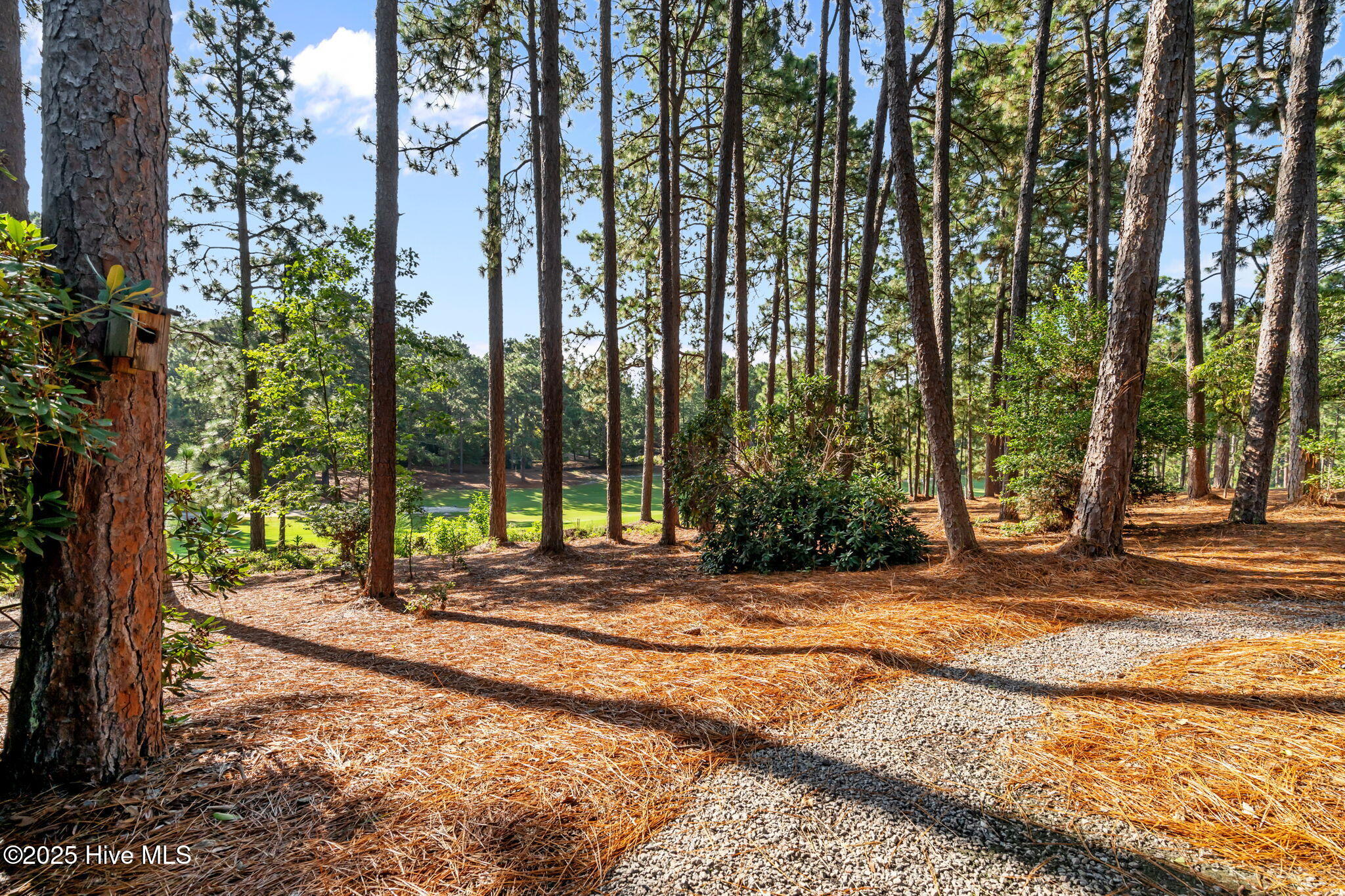 101 Dorset Road West End, NC 27376 - Photo 47 of 60 49-web-or-mls-DSC03197