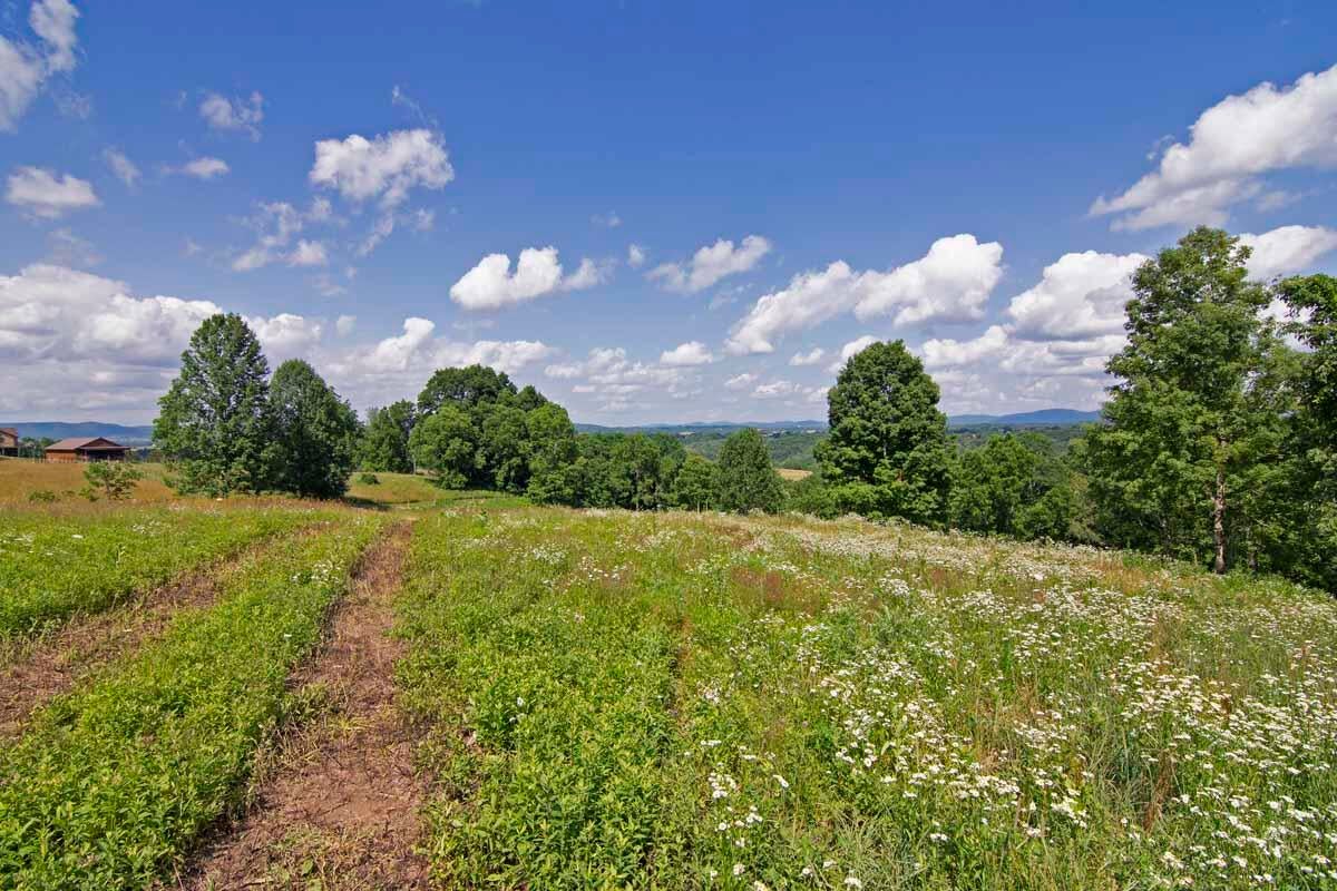 Rich Hollow Road Lewisburg, WV 24901 - Photo 45 of 59 Gallery Image 45