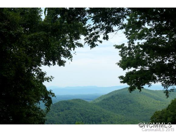 521 Locust Ridge Bostic, NC 28018 - Photo 23 of 23 Gallery Image 23