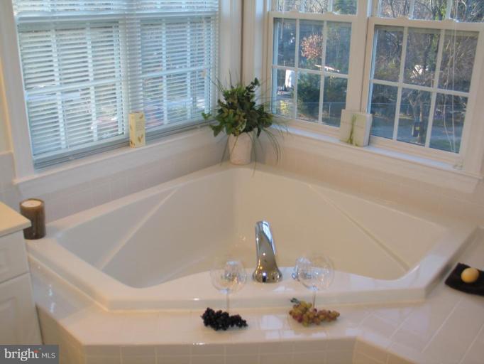 19 Bonifant Road Silver Spring, MD 20905 - Photo 20 of 30 Master Bath #2