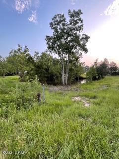 3653 Old Hickory Pond Road Cottondale, FL 32431 - Photo 34 of 40