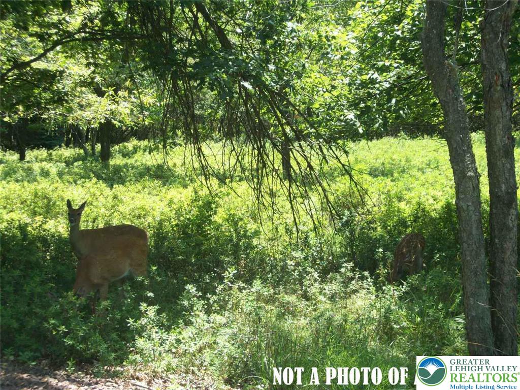 Peet Brook Road Genesee, PA 16923 - Photo 1 of 1