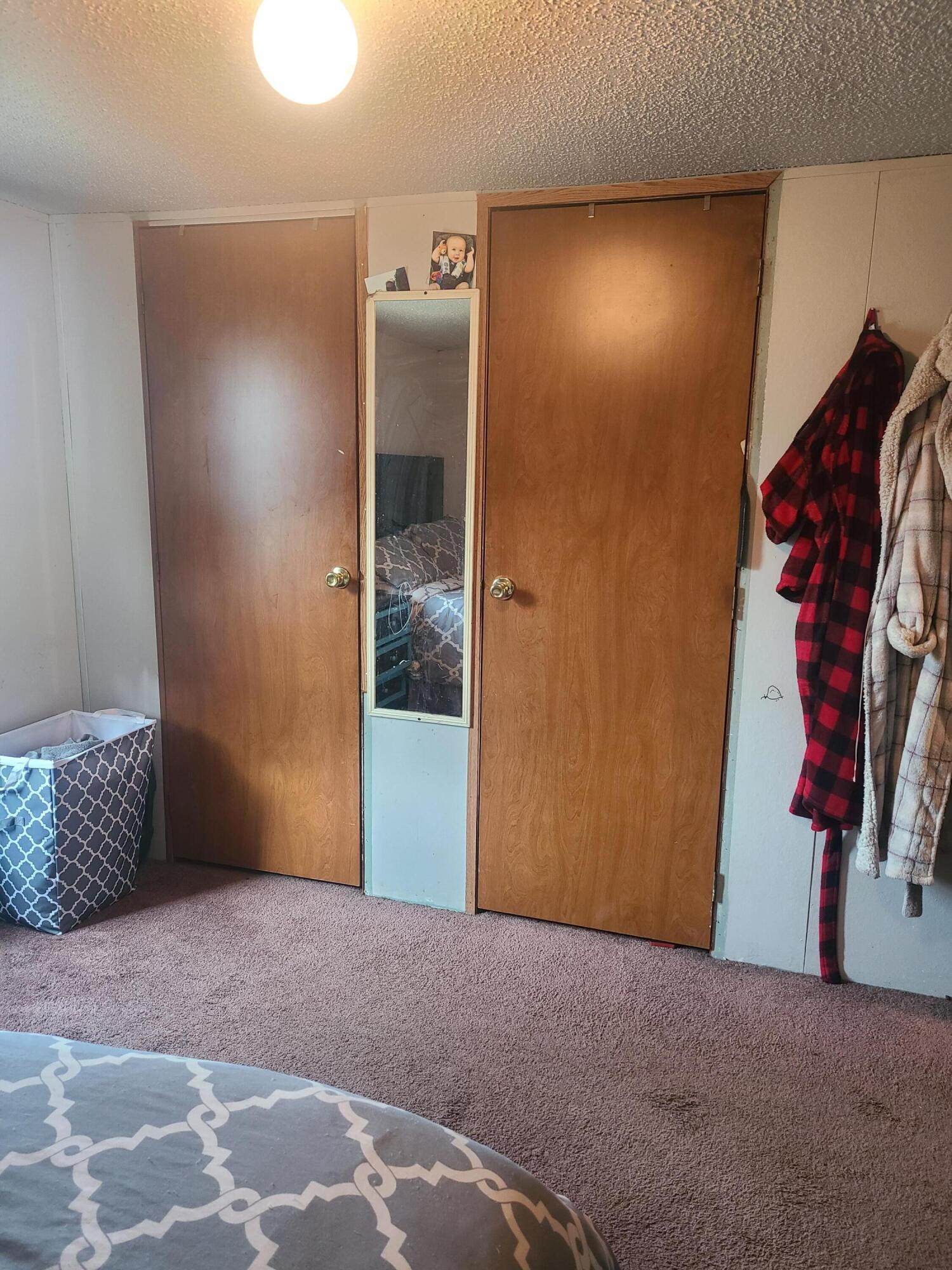 4675 East Pakes Road Stanton, MI 48888 - Photo 11 of 26 20210810_175841
