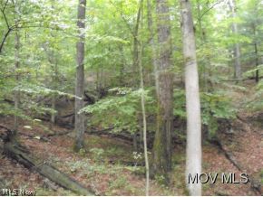 0 C Road Cairo, WV 26337 - Photo 6 of 11