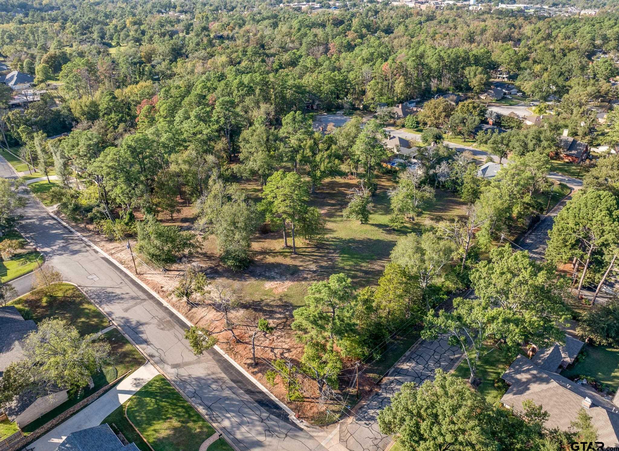 2006 McDonald Road Tyler, TX 75701 - Photo 2 of 13 a view of a garden with a tree