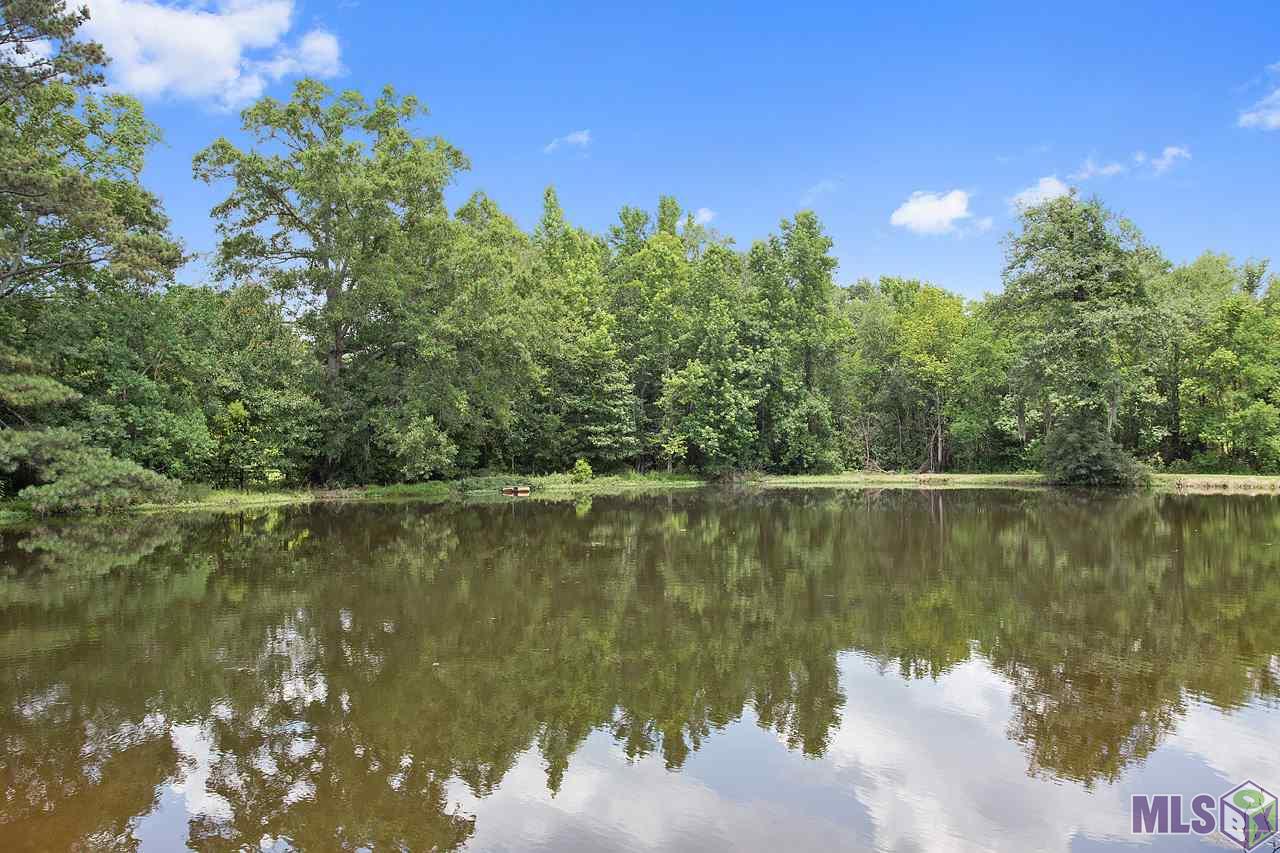 8859 Arnold Road Denham Springs, LA 70726 - Photo 13 of 16