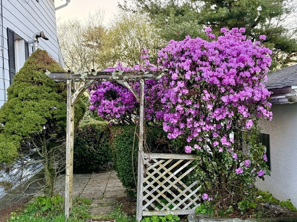 1 Laselle Avenue Worcester, MA 01605 - Photo 32 of 42