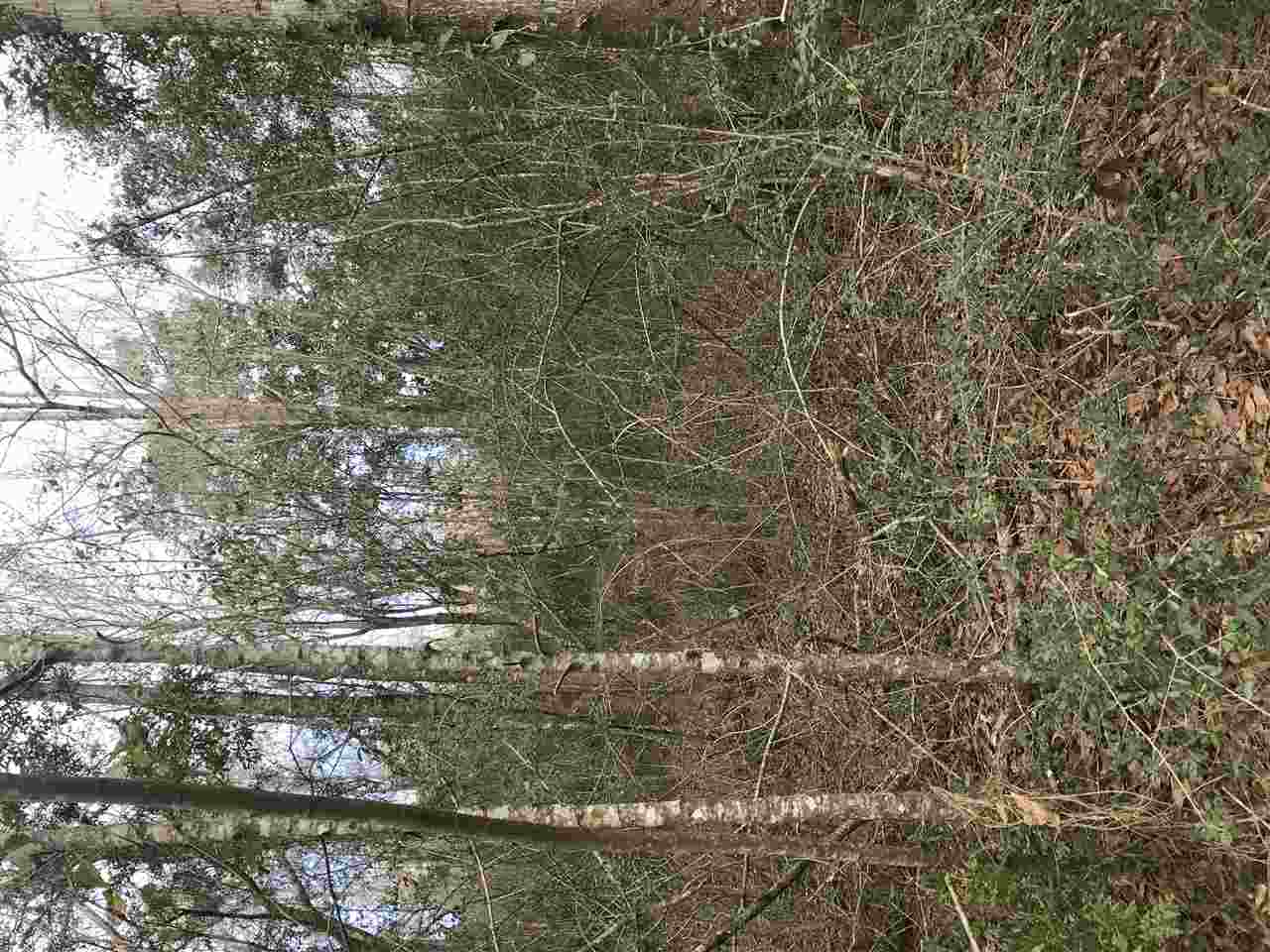 0 East County Road 32 Elberta, AL 36530 - Photo 1 of 2