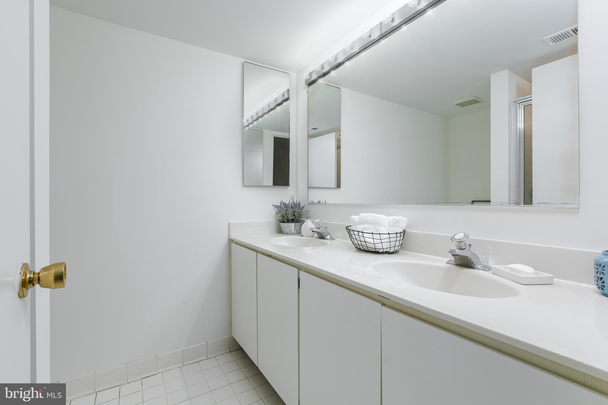 102 Castletown Road, Unit 302 Lutherville-Timonium, MD 21093 - Photo 12 of 16 Primary bath with double sinks & stall shower