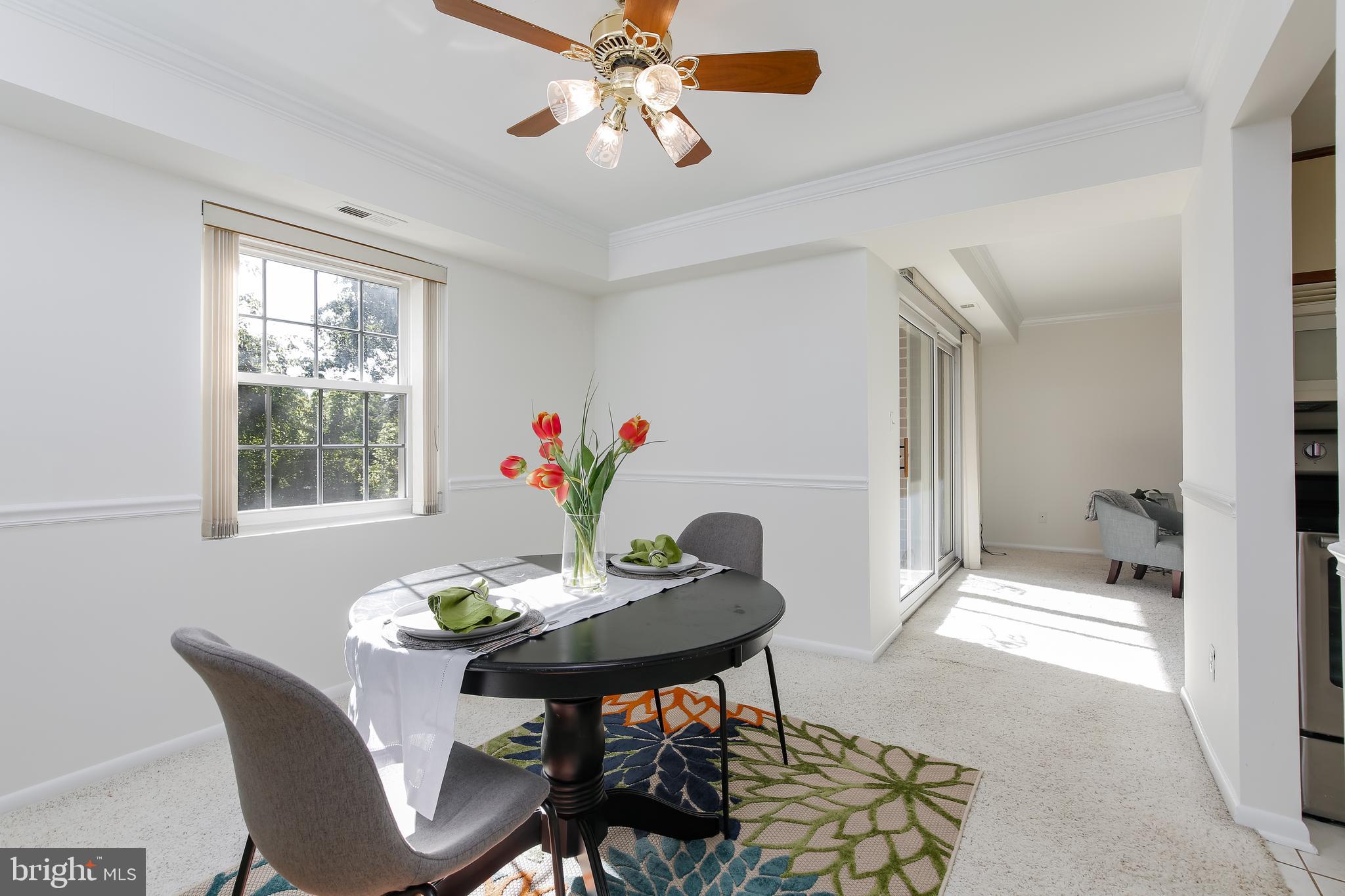 102 Castletown Road, Unit 302 Lutherville-Timonium, MD 21093 - Photo 4 of 16 Sunny and separate dining room off kitchen & LR