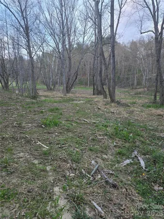 a view of outdoor space with trees