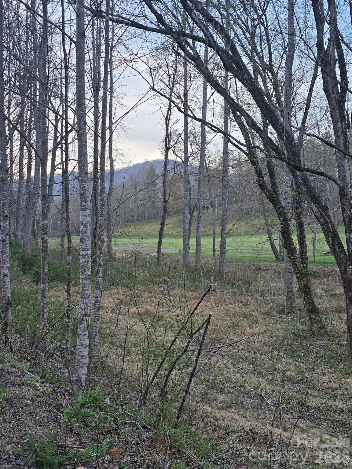 91 Miller Road Fairview, NC 28730 - Photo 2 of 3 a view of outdoor space and green space