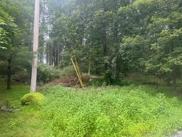 a backyard of a house with lots of green space