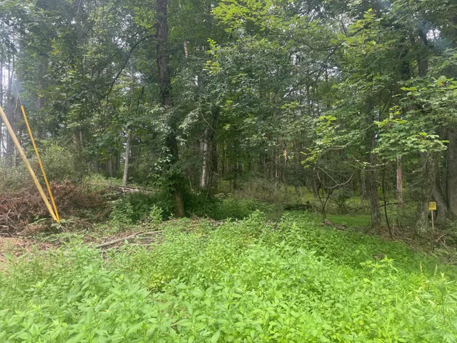 a view of outdoor space and garden