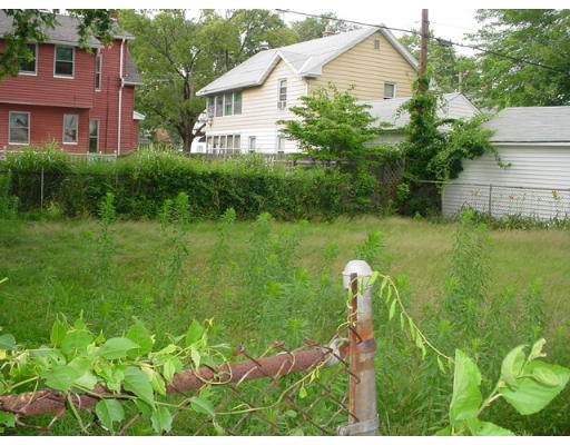 100 Wilber Street Springfield, MA 01104 - Photo 9 of 9 a backyard of a house with a garden and plants
