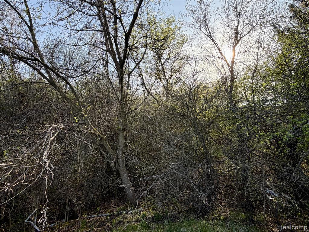 7828 Fosdick Road Saline, MI 48176 - Photo 61 of 64