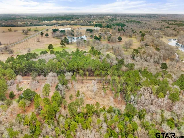 a view of lake with lots of trees