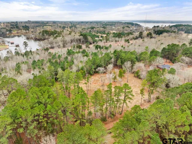 a view of a lake with mountains in the background