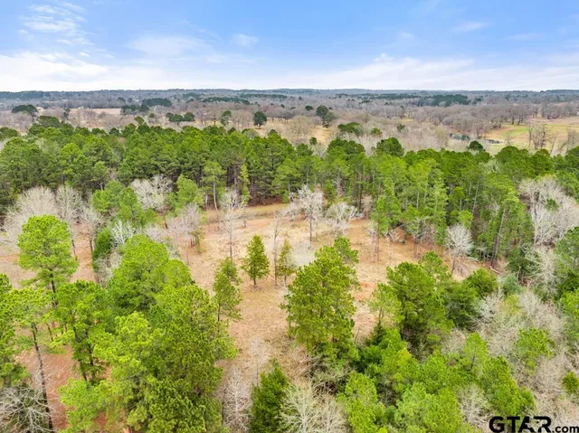 a view of a yard covered in snow