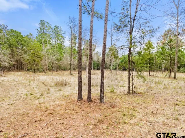 a view of a yard with trees