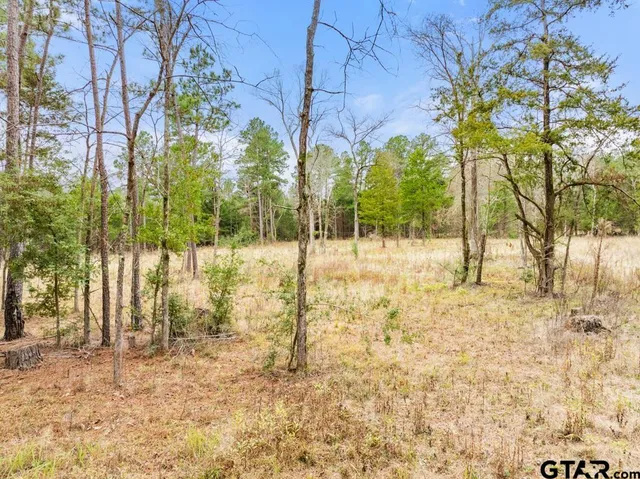 a view of road with large trees