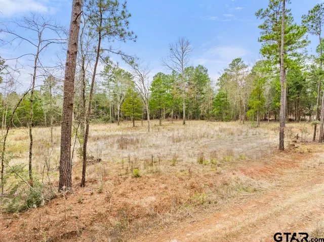 $115,000 | 268 County Road 3607, Bullard, TX 75757