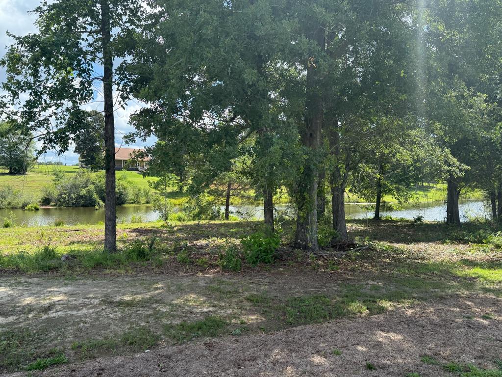245 County Road 422 Abbeville, AL 36310 - Photo 31 of 39