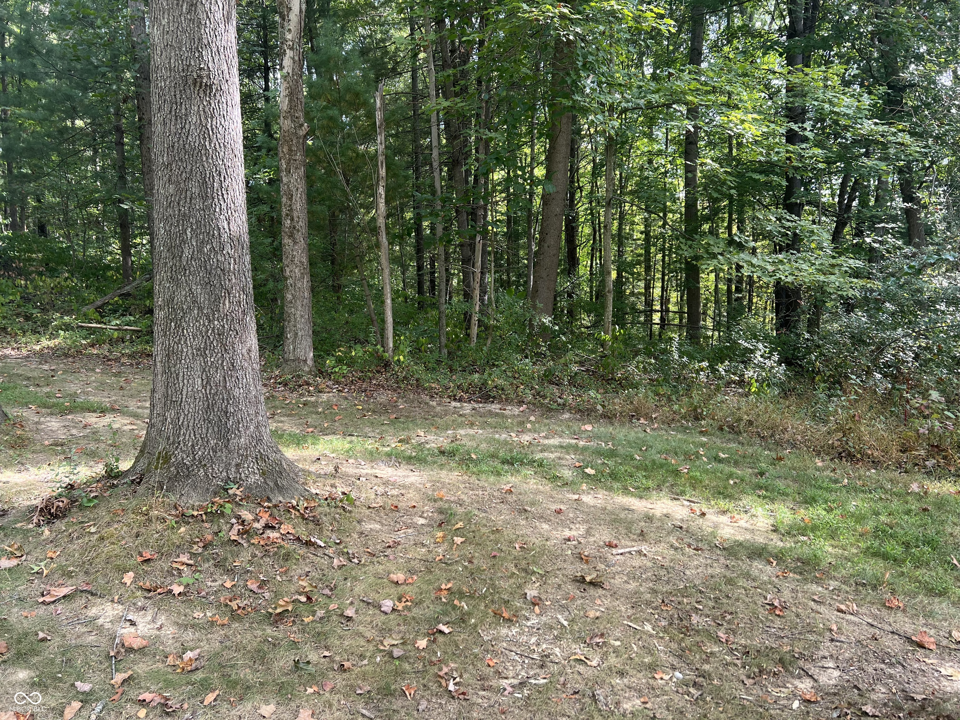 0 Covered Bridge Road Nashville, IN 47448 - Photo 2 of 10 Gallery Image 2
