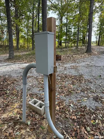 a view of a yard